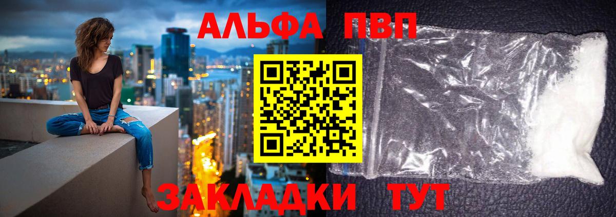 Альфа ПВП СК КРИС Великий Новгород