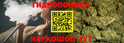 эйфоретик Можга