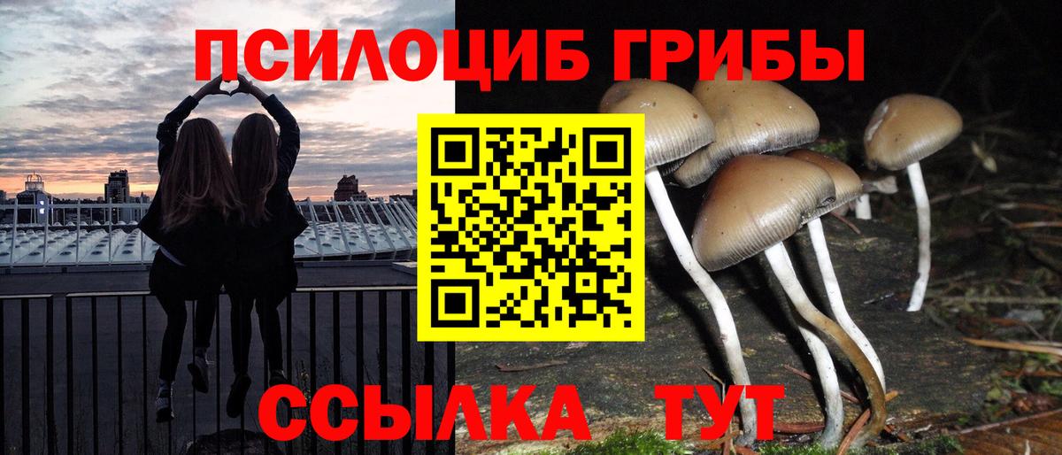 Великий Новгород  Псилоцибиновые грибы мухоморы  Вход с VPN 