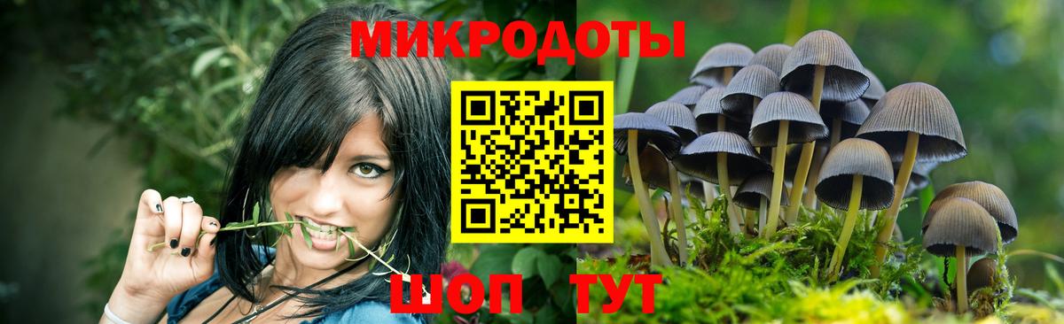 Псилоцибиновые грибы MAGIC MUSHROOMS Великий Новгород